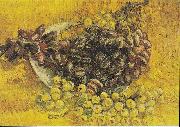 Vincent Van Gogh Still Life with Grapes